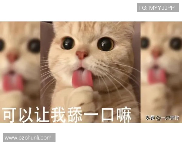 足球明星与猫猫的可爱互动视频让你心动不已快来一起欣赏吧